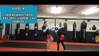 Blue Belt #1