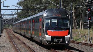 「4K60p WIDEVIEW」Mariyung D Set Ride - Epping to Cheltenham - CCN Central Coast & Newcastle Line