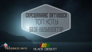 Black Desert - все о котах, скрещивание, цифры и топ петы.