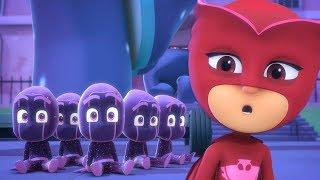 Owleteenies or Ninjalinos? | PJ Masks Official