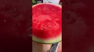 Black Watermelon | Official Video | Most expensive watermelon | #expensive #explore #food #foodie