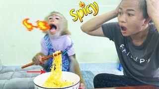 So spicy...! Monkey Lyly enjoyed secretly eating her mother's spicy noodles.