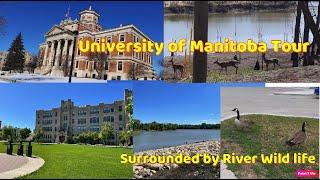 University of Manitoba Summer Tour in Pandemic time | Top University in Canada