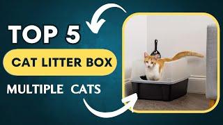 TOP 5 Best Cat Litter Box for Multiple Cats 2024 || Best Affordable and Comfortable Cat Litter Box.