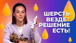 Как бороться с выпадением шерсти? / Саша знает