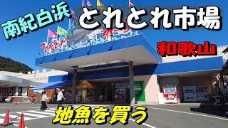 【とれとれ市場】五十八万円の梅干　千畳敷　三段壁　南紀白浜　和歌山県