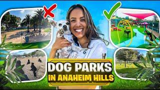 Top 5 Dog Parks in North Orange County!