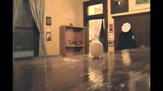 Ghost Investigation-Fire Museum