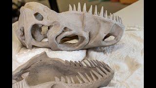 Sculpting a Dino-Skull in clay (pt.1). DIY T-Rex in Ceramics #DIYskull #dinoskull #dinoskullinclay