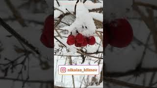 Немного прохлады в июльскую жару! #shorts