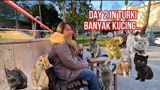 DAY 2 di TURKI BANYAK KUCING , BELI OLEH OLEH KHAS TURKI, MAIN KE PANTAI DEKAT HOTEL..‼️