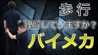 【歩行の動作分析】に必要なバイオメカニクス！理解できていますか？