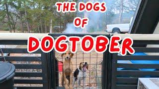 The Dogs of Ouachita Mountain Living - The ULTIMATE Experience!