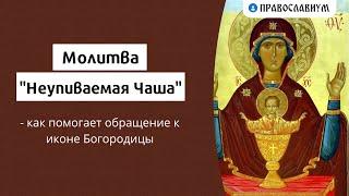 Молитва "Неупиваемая Чаша" - как помогает обращение к иконе Богородицы