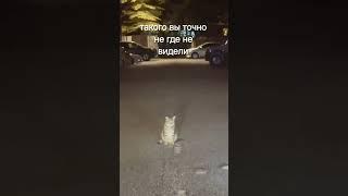 Срочно! Смотреть до конца! #срочно