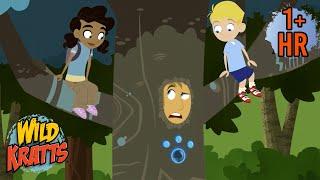 Martin Gets Turned into a Tree | New Compilation | Wild Kratts