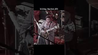 #bbking #gibsonguitar #es345 #fenderamp #blues #music #memphisblues #nyc
