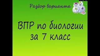 Биология. Разбор варианта ВПР по биологии 7 класс. Вариант 1