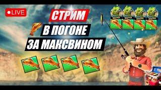 СТРИМ НА 6.000.000Р! ЗАНОСЫ НЕДЕЛИ! в прямом эфире сейчас! ПРЯМОЙ ЭФИР ОНЛАЙН КАЗИНО #заносы #шорц