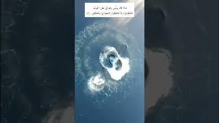 ماذا قال يونس عليه السلام  في بطن الحوت #shorts