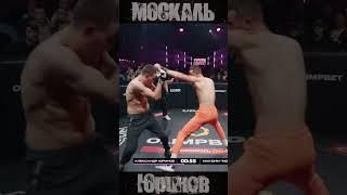 Knockdown Top Dog Prospect 16 - Максим Москаль Москалев vs Александр Юринов #TopDog #knockdown