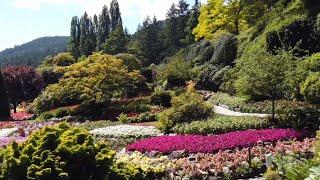 Wycieczka na Vancouver Island , z wizytą w ogrodzie i na fortach obronnych , cz.3