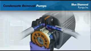 Blue Diamond Pumps 2012 infomercial