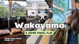 From Osaka to WAKAYAMA | 1-Day Itinerary: Japan's countryside, cat train station, themed trains