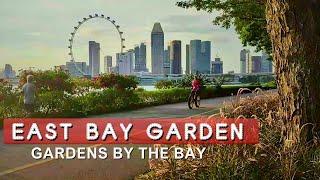 A Walk from BAY EAST to BAY SOUTH Garden (Gardens by the Bay) I Impressive views 