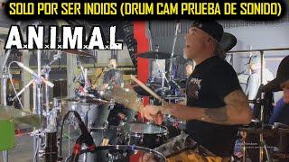  A.N.I.M.A.L - Solo Por Ser Indios (Marcelo Castro Drum Cam Prueba De Sonido Auditorio Oeste) 