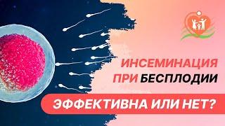  Инсеминация при бесплодии - эффективна или нет?