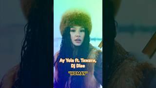 ХИТ AY YOLA ft. Тимати, DJ Dlee - HOMAY  (mashup by Qday) #qdaymusic #timati #тимати #ayyola