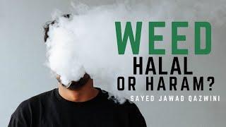 WEED, Halal or Haram?? by Sayed Jawad Qazwini