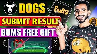 Dogs Airdrop Result Details | Bums New Updates | Bums Free Gifts  | Dogs Airdrop