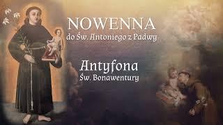 #5 dzień nowenny do kochanego św. Antoniego z Padwy z przykładami cudów za Jego wstawiennictwem