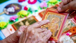 HH Mahant Swami Maharaj's Vicharan  17 Apr 2020, Nenpur, India #shorts
