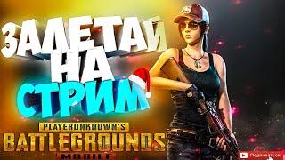 PUBG MOBILE ЛОКАЛКИ на ПК +18