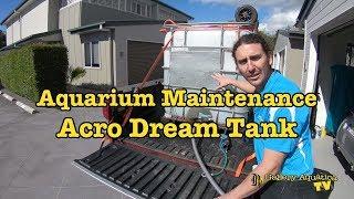 Aquarium Maintenance: Acro Dream Tank --- Gallery Aquatica TV