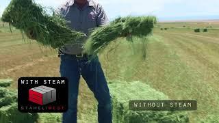 Steamed Hay VS Non-Steamed Hay