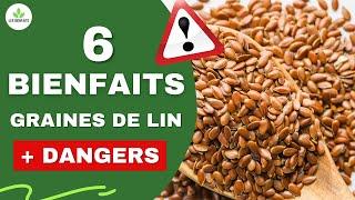 GRAINES DE LIN: 6 BIENFAITS ET 4 DANGERS POUR LA SANTÉ