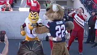  Funny: ASU & Arizona Rival Mascots Fighting on Sideline