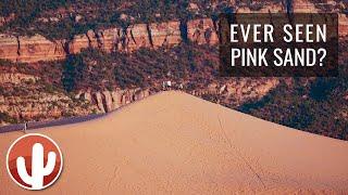 Sunset at Coral Pink Sand Dunes State Park | Kanab, Utah