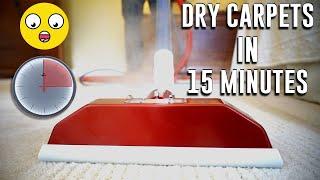 How To Dry Carpets In 15 Minutes After Cleaning