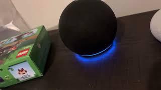 Amazon Alexa & Google home