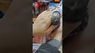 Кора чавкар самец  Узбекские голуби  #music #song #love #pigeon #tauben #birds #голуби #kabootar