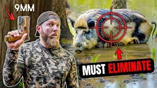 Chasing Down Wild Hogs w/ PISTOLS!! **danger close**