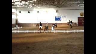 Marlenka novice test.MPG
