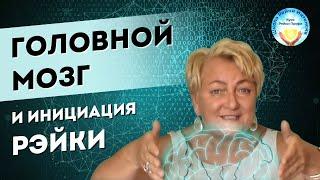 Рейки обучение. Головной МОЗГ и Инициация Рейки 1 ступень. Школа Рейки Интенсив. Курс Рейки Профи