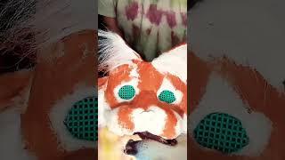 let's make a Tiger Mask! Part 2 #therian #tigermask #theriangear