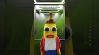 Nobody knows what happened to her #banana #meme #funny